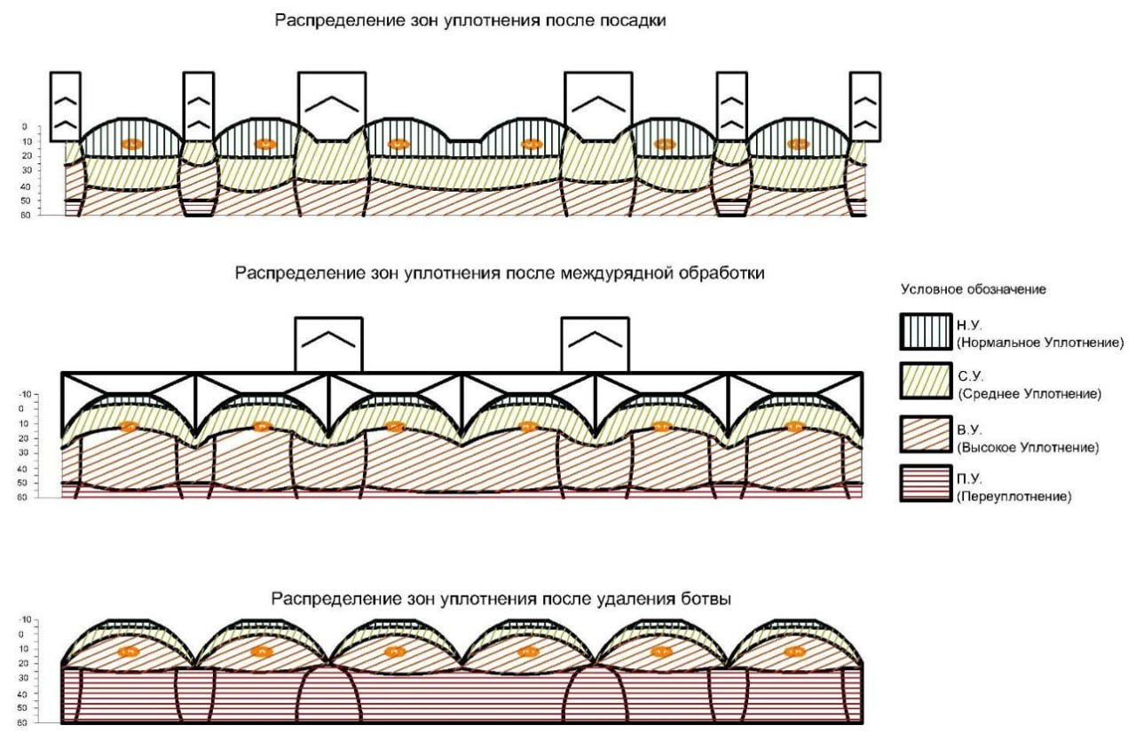 Зоны уплотнения почвы при западноевропейской технологии